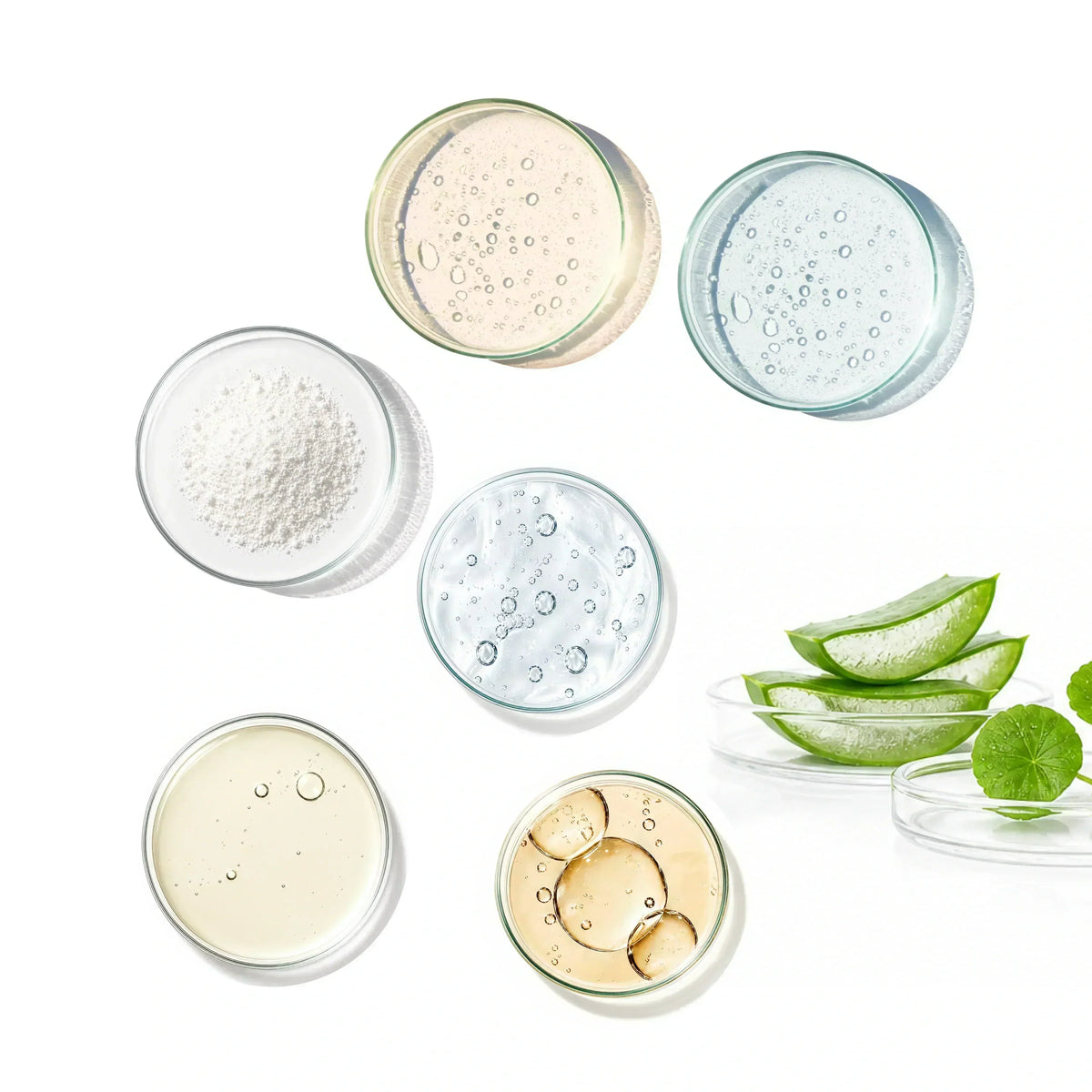Best Ingredients for Acne-Prone Skin: 8 Ingredients That Actually Work