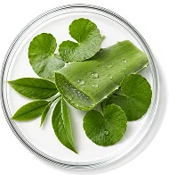 Aloe Vera, Green Tea & Cica